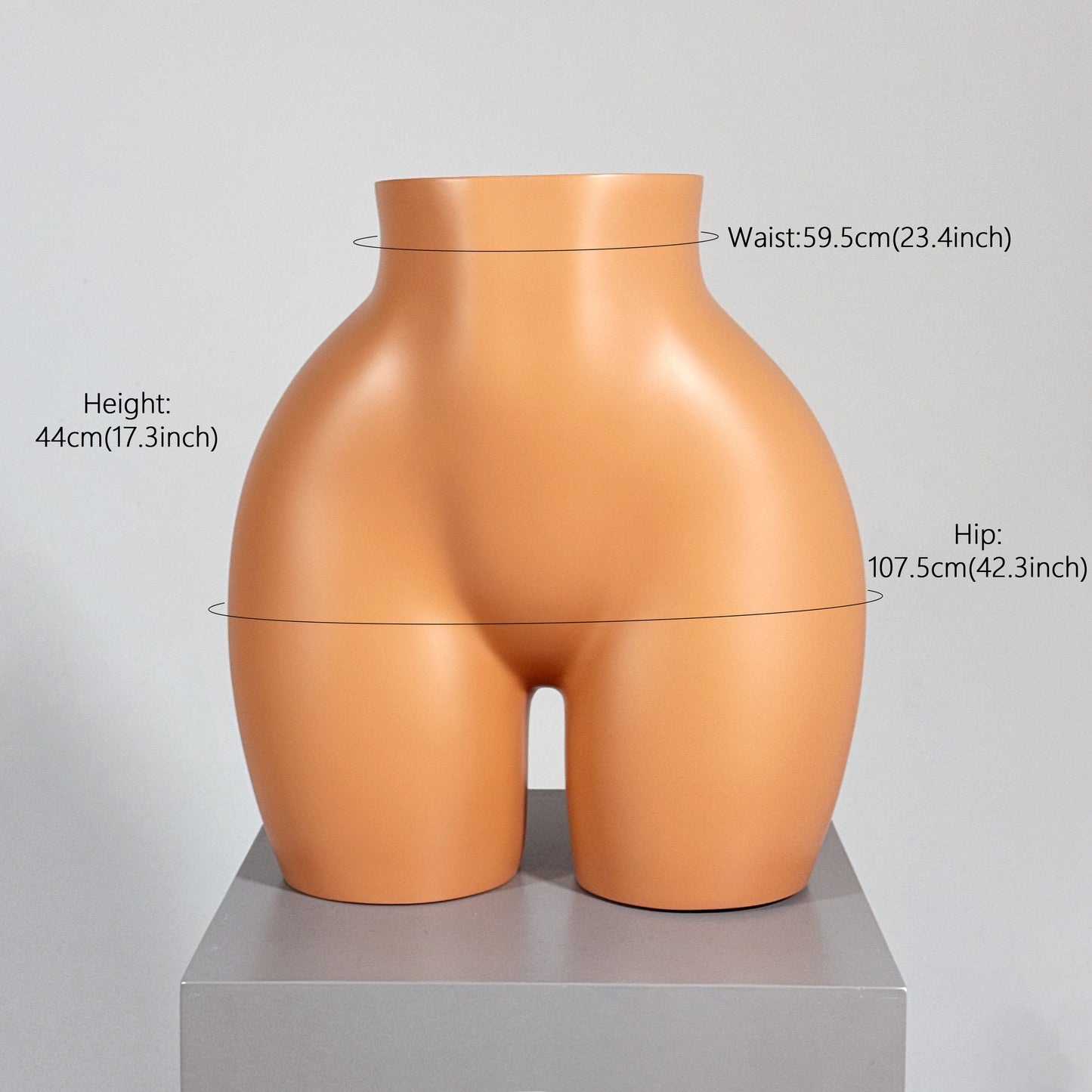 DE LIANG High-End Female Hip & Torso Mannequin – Fiberglass Display Stand for Lingerie/Underwear/Shapewear Display