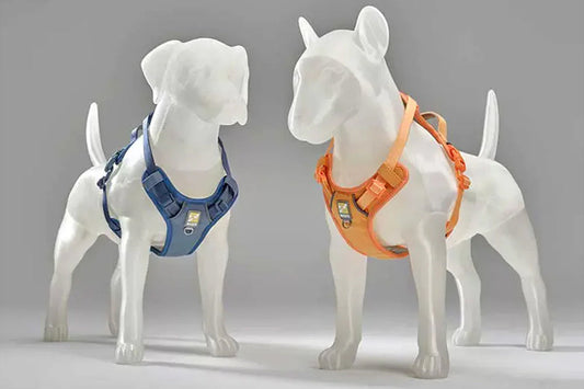 Why Settle for Hangers When You Could Have a Supermodel Dog?