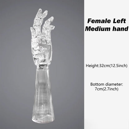 DE-LIANG Clear Hand Mannequin - Jewelry Ring Bracelet Watch Display Holder Articulated