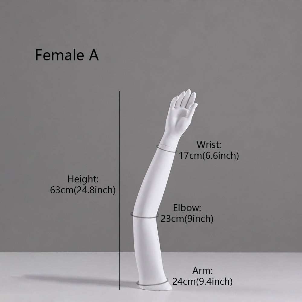 DE-LIANG Fiberglass Arm Knee Waist Mannequin Props for Athletic Wear & Medical Brace Display