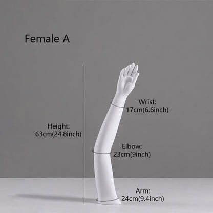 DE-LIANG Fiberglass Arm Knee Waist Mannequin Props for Athletic Wear & Medical Brace Display