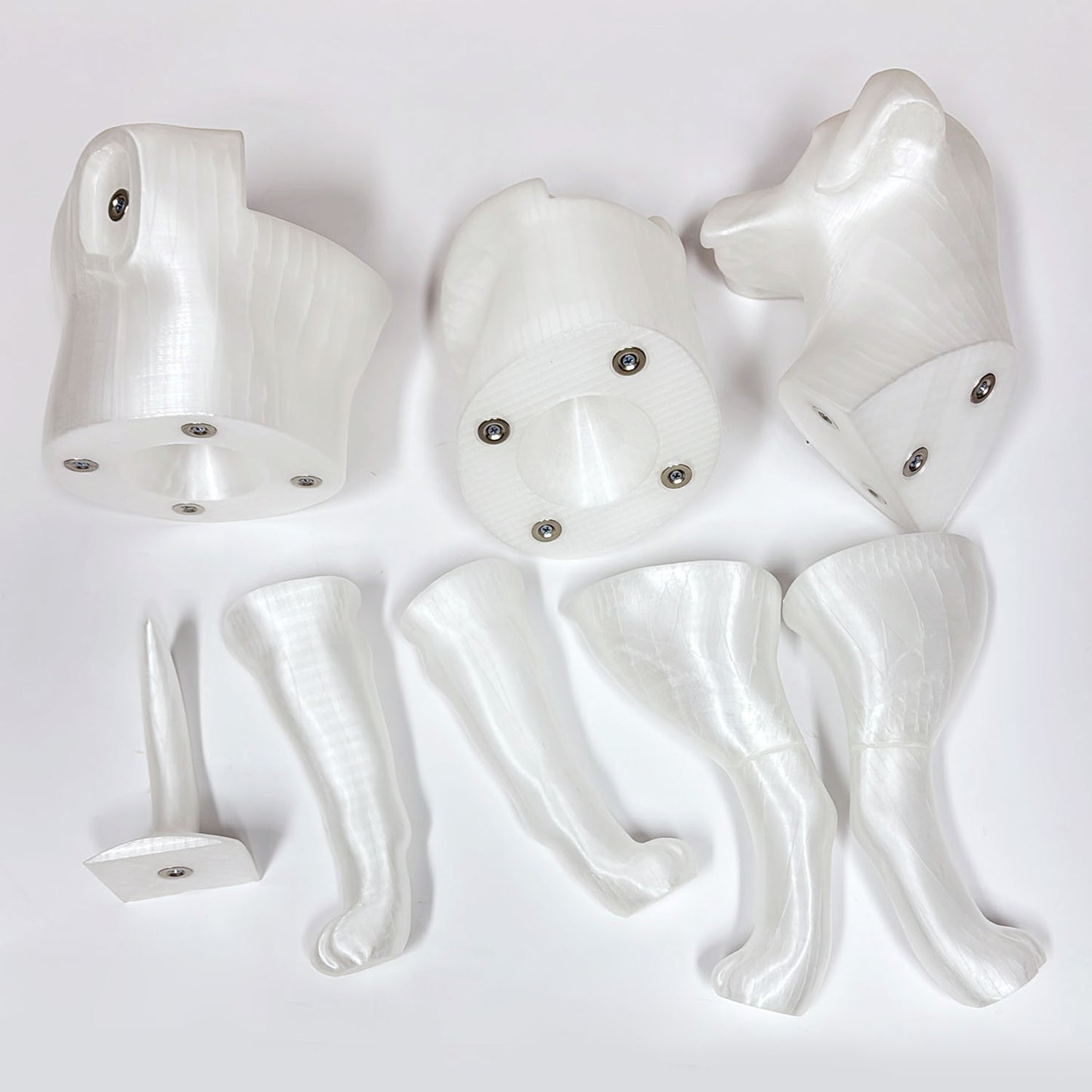 Professional 3D Printed Dog Mannequin - Detachable Pet Clothing Display Model with Ultra-Strong Magnetic Joints - Realistic & Elegant Pet Store Prop