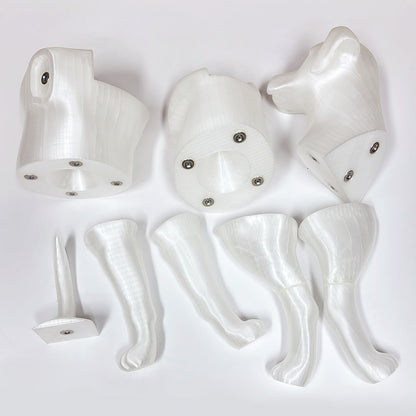 Professional 3D Printed Dog Mannequin - Detachable Pet Clothing Display Model with Ultra-Strong Magnetic Joints - Realistic & Elegant Pet Store Prop