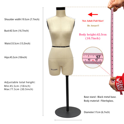 DE-LIANG Half Scale Dress Form 1:2 Miniature Mannequin （Size 6）