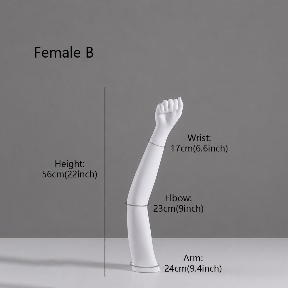 DE-LIANG Fiberglass Arm Knee Waist Mannequin Props for Athletic Wear & Medical Brace Display
