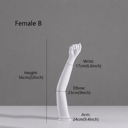 DE-LIANG Fiberglass Arm Knee Waist Mannequin Props for Athletic Wear & Medical Brace Display