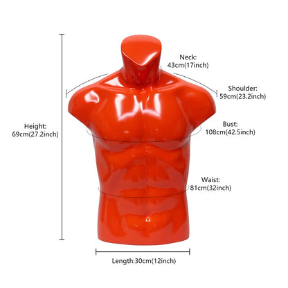 DE-LIANG Half Body Male Bust Form Mannequin, Upper Torso for Knee, Breast Back Brace,Sport Manenquin,Shoulder Brace Display, Orange Silver 1