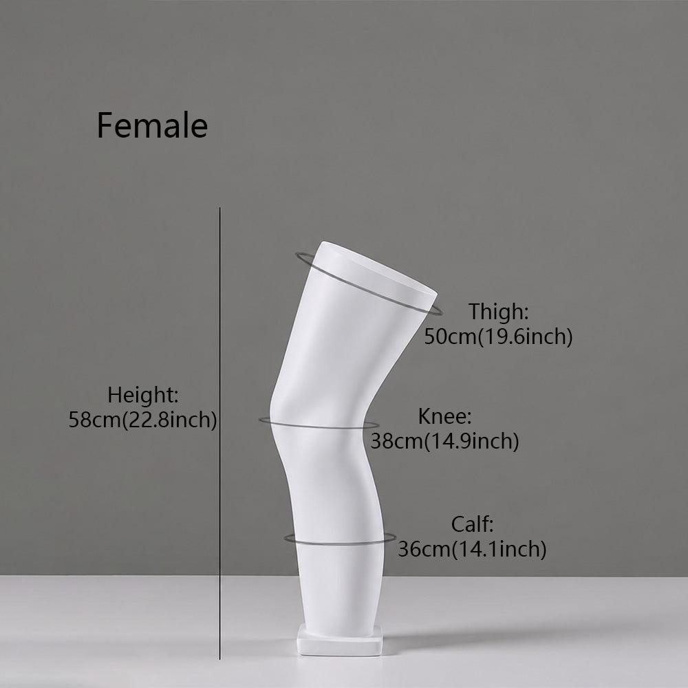 DE-LIANG Fiberglass Arm Knee Waist Mannequin Props for Athletic Wear & Medical Brace Display