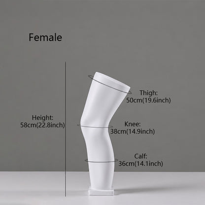 DE-LIANG Fiberglass Arm Knee Waist Mannequin Props for Athletic Wear & Medical Brace Display