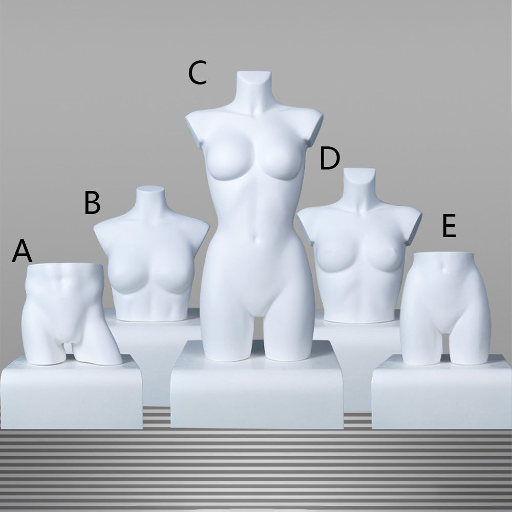 DE-LIANG Female Half Body Mannequin Torso Set,Matte White Fiberglass Dress Form Bust & Hip Display for Clothing, Lingerie, Underwear & Boutique Window Show