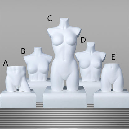 DE-LIANG Female Half Body Mannequin Torso Set,Matte White Fiberglass Dress Form Bust & Hip Display for Clothing, Lingerie, Underwear & Boutique Window Show