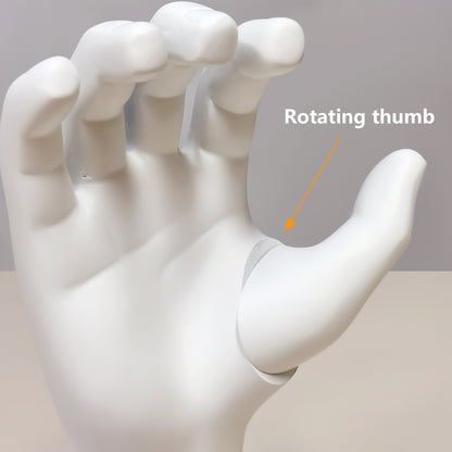 DE-LIANG Matte White Male Fiberglass Hand Display Stand: Jewelry /Watch Display; Sports Gloves and Wristbands Display.