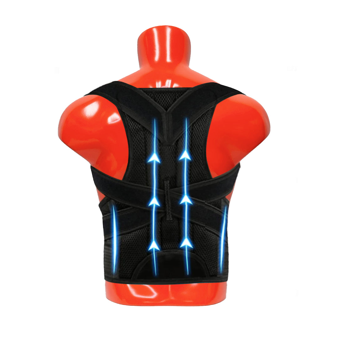 DE-LIANG Half Body Male Bust Form Mannequin, Upper Torso for Knee, Breast Back Brace,Sport Manenquin,Shoulder Brace Display, Orange Silver 1