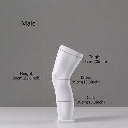 DE-LIANG Fiberglass Arm Knee Waist Mannequin Props for Athletic Wear & Medical Brace Display