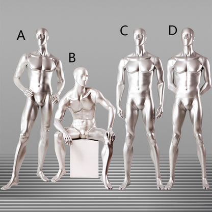 DE-LIANG Male Full Body Mannequins Set | Silver Fiberglass Dress Form Display with  Arms | Standing & Sitting Male Mannequin for Clothing Store Window Display