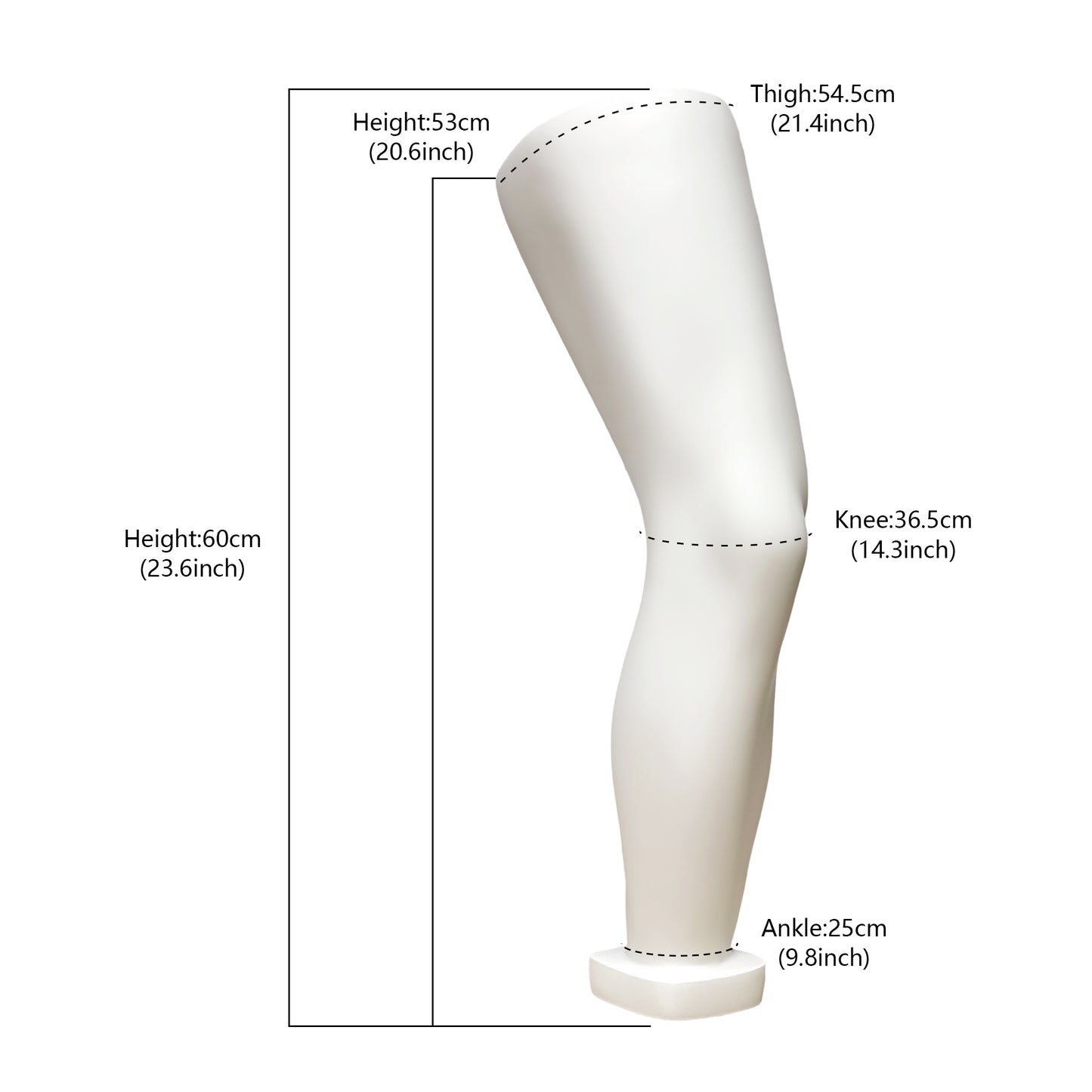 DE-LIANG Fiberglass Fashion Male Sport Mannequin Torso,Elbow,Arms,Waist And Hip Protector Props,Silver Mannequin Props for Athletic Brace Display