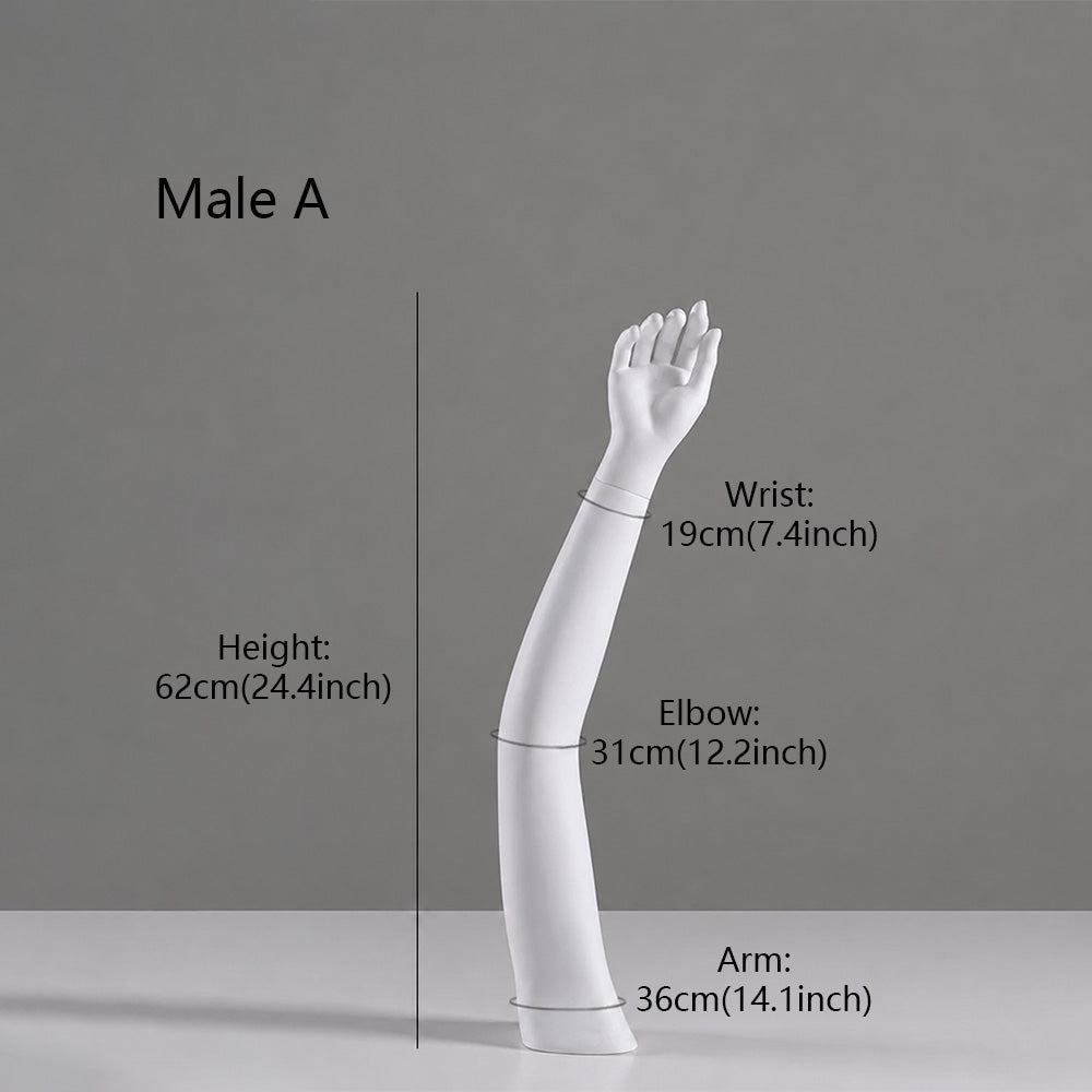 DE-LIANG Fiberglass Arm Knee Waist Mannequin Props for Athletic Wear & Medical Brace Display