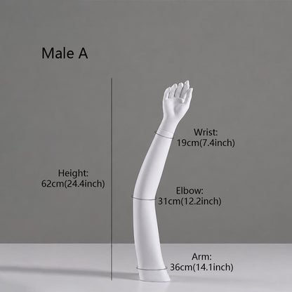 DE-LIANG Fiberglass Arm Knee Waist Mannequin Props for Athletic Wear & Medical Brace Display