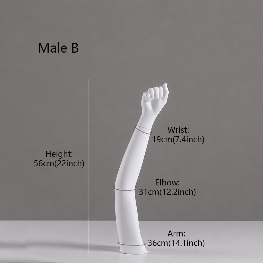 DE-LIANG Fiberglass Arm Knee Waist Mannequin Props for Athletic Wear & Medical Brace Display
