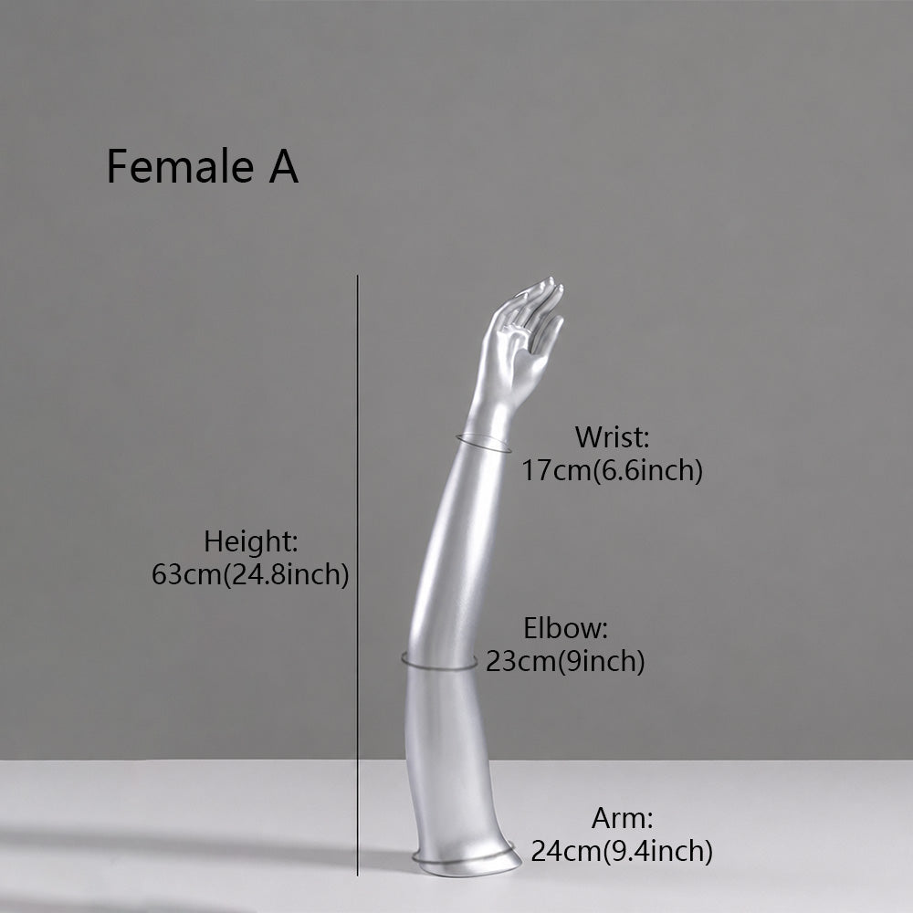 DE-LIANG Fiberglass Arm Knee Waist Mannequin Props for Athletic Wear & Medical Brace Display