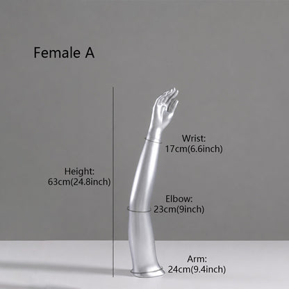 DE-LIANG Fiberglass Arm Knee Waist Mannequin Props for Athletic Wear & Medical Brace Display