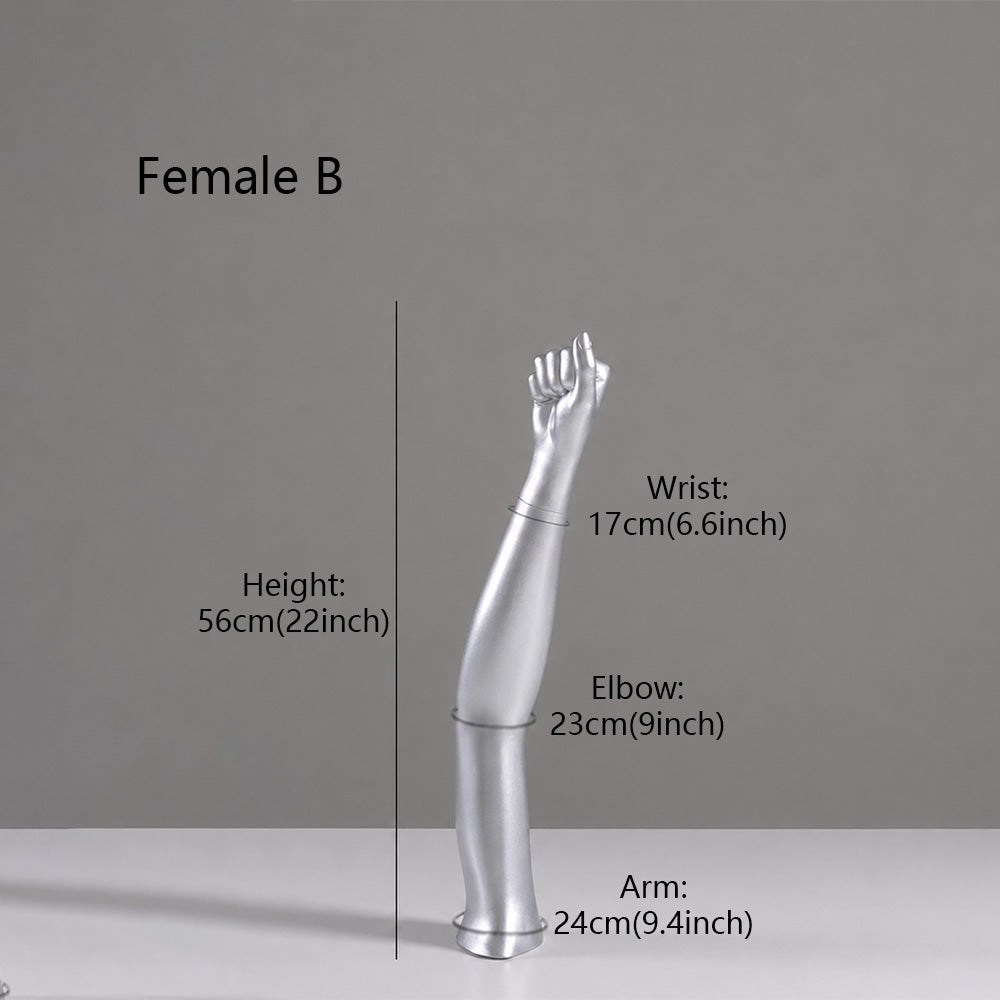 DE-LIANG Fiberglass Arm Knee Waist Mannequin Props for Athletic Wear & Medical Brace Display