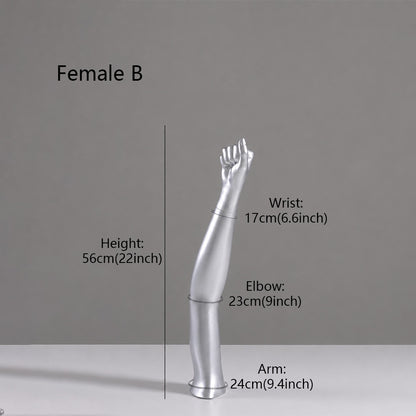 DE-LIANG Fiberglass Arm Knee Waist Mannequin Props for Athletic Wear & Medical Brace Display