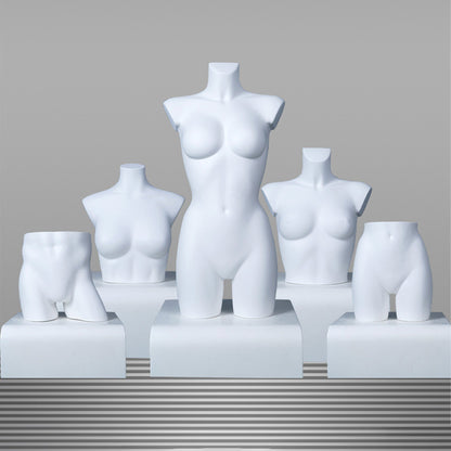 DE-LIANG Female Half Body Mannequin Torso Set,Matte White Fiberglass Dress Form Bust & Hip Display for Clothing, Lingerie, Underwear & Boutique Window Show