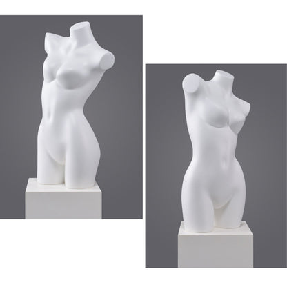 DE-LIANG Female Torso Mannequin Display Set,Half Body Dress Form Collection,White & Gold Finish Retail Display Forms for Clothing Store