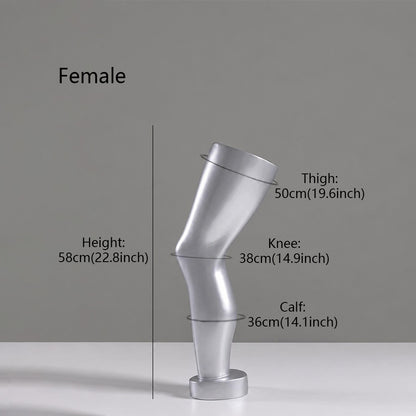 DE-LIANG Fiberglass Arm Knee Waist Mannequin Props for Athletic Wear & Medical Brace Display