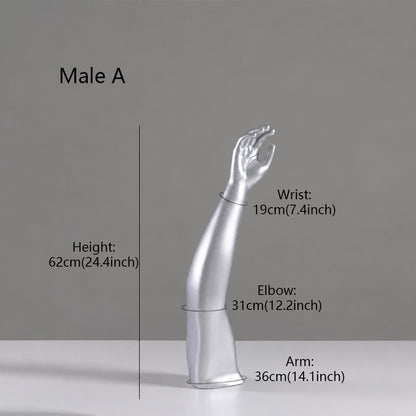 DE-LIANG Fiberglass Arm Knee Waist Mannequin Props for Athletic Wear & Medical Brace Display