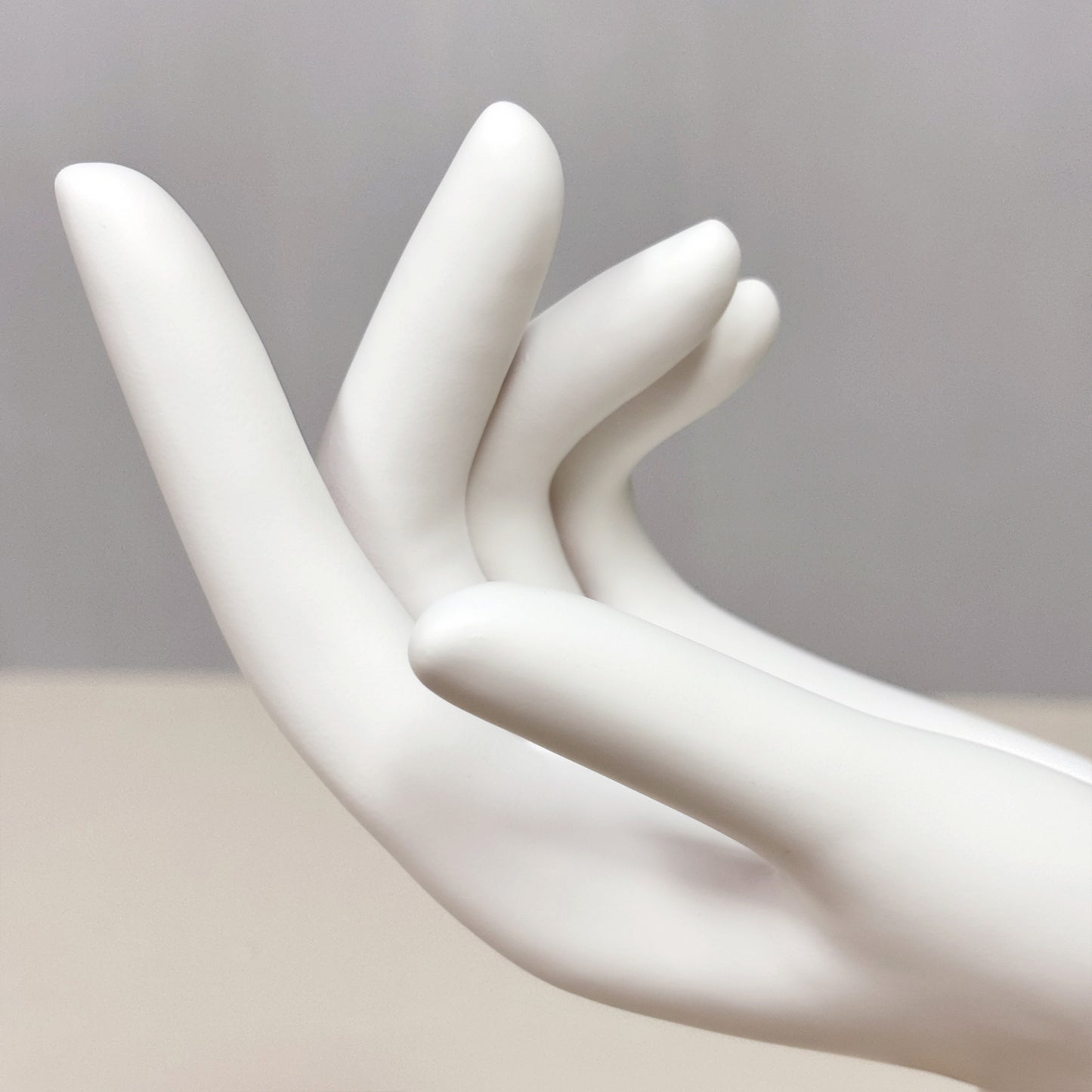 DE-LIANG White Plastic Mannequin Hand: Jewelry Display, Wig/Hat Stand