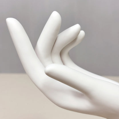 DE-LIANG White Plastic Mannequin Hand: Jewelry Display, Wig/Hat Stand