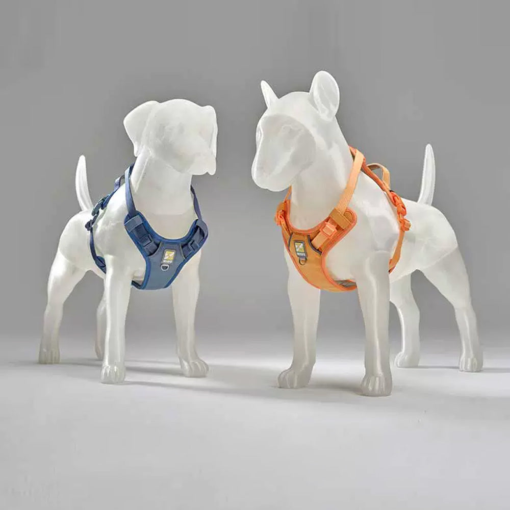 Customized Dog Display Mannequin - 3D Assemble Pet Mannequin, Semi-Transparent Decorative Dog Sculpture for Boutique Display, Pet Clothes