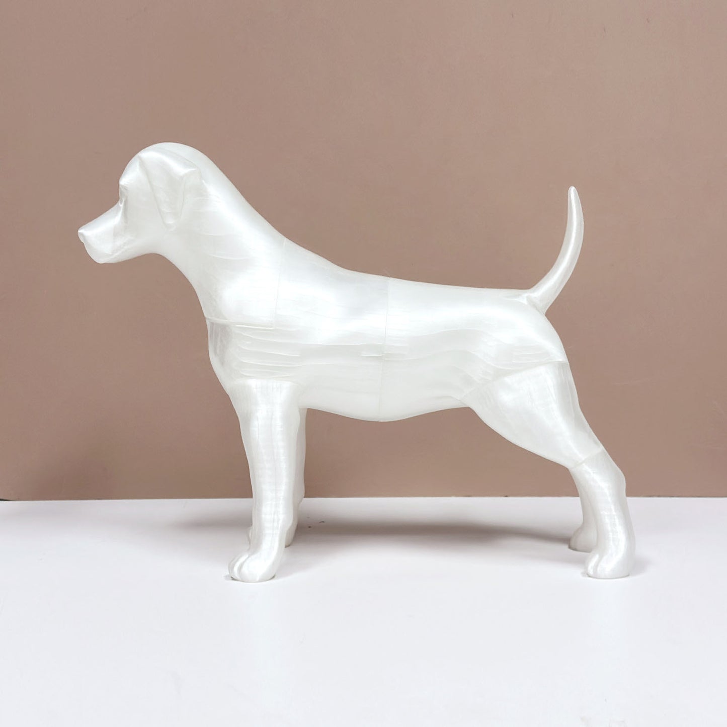 Professional 3D Printed Dog Mannequin - Detachable Pet Clothing Display Model with Ultra-Strong Magnetic Joints - Realistic & Elegant Pet Store Prop