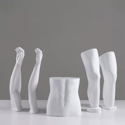 DE-LIANG Fiberglass Arm Knee Waist Mannequin Props for Athletic Wear & Medical Brace Display