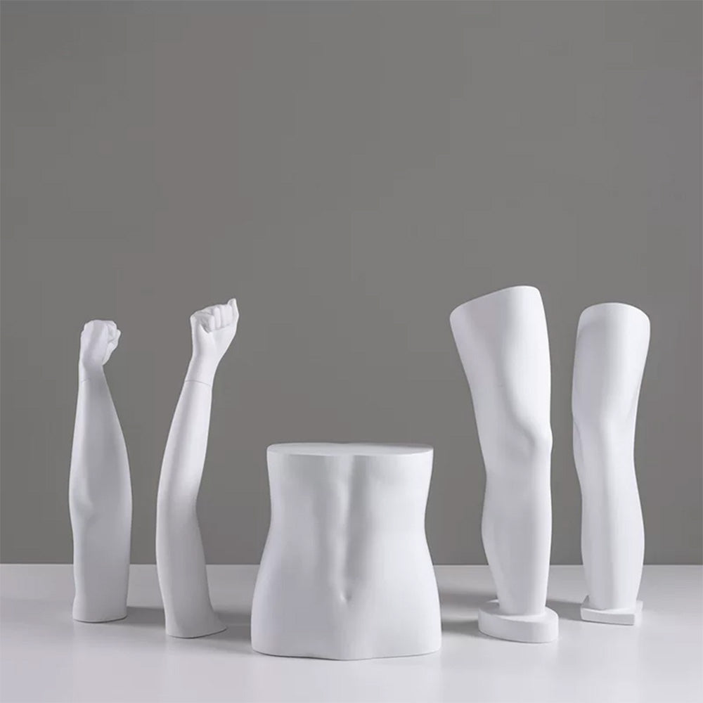 DE-LIANG Fiberglass Arm Knee Waist Mannequin Props for Athletic Wear & Medical Brace Display