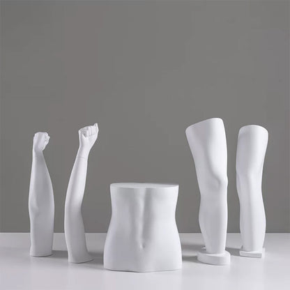 DE-LIANG Fiberglass Arm Knee Waist Mannequin Props for Athletic Wear & Medical Brace Display
