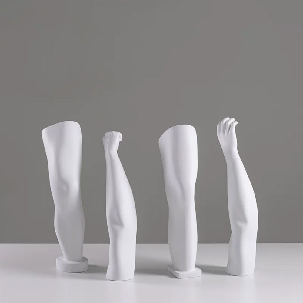 DE-LIANG Fiberglass Arm Knee Waist Mannequin Props for Athletic Wear & Medical Brace Display