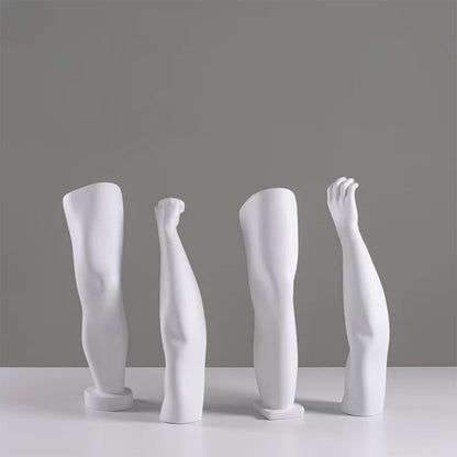 DE-LIANG Fiberglass Arm Knee Waist Mannequin Props for Athletic Wear & Medical Brace Display