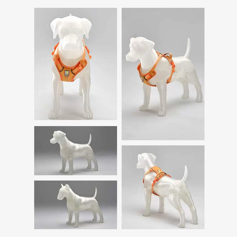 Customized Dog Display Mannequin - 3D Assemble Pet Mannequin, Semi-Transparent Decorative Dog Sculpture for Boutique Display, Pet Clothes