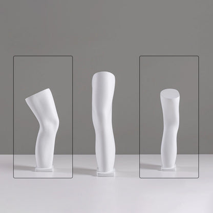 DE-LIANG Fiberglass Arm Knee Waist Mannequin Props for Athletic Wear & Medical Brace Display