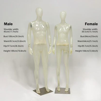 Crystal clear glass fiber texture of professional display mannequin