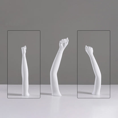 DE-LIANG Fiberglass Arm Knee Waist Mannequin Props for Athletic Wear & Medical Brace Display
