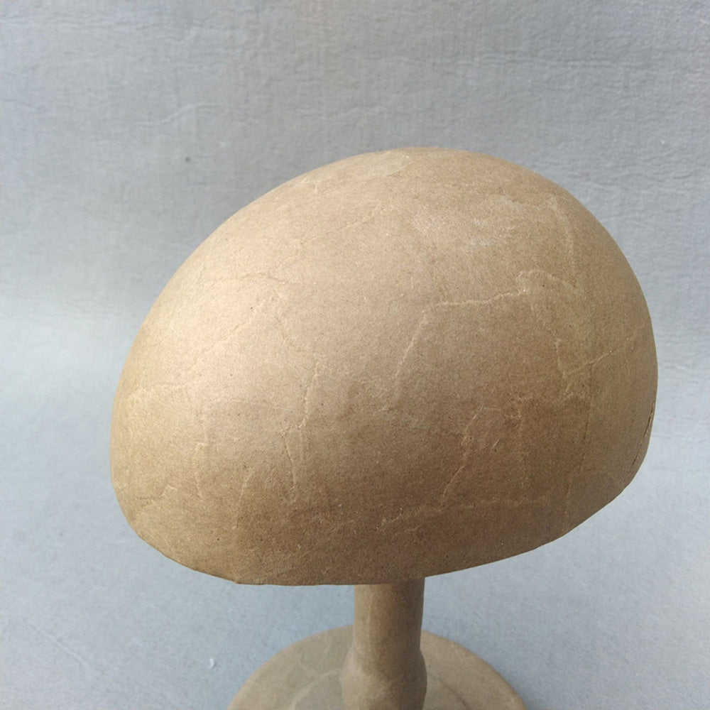 DE-LIANG Kraft Paper Mannequin Head & Dress Form for Garment Sample Display & Hat Wig