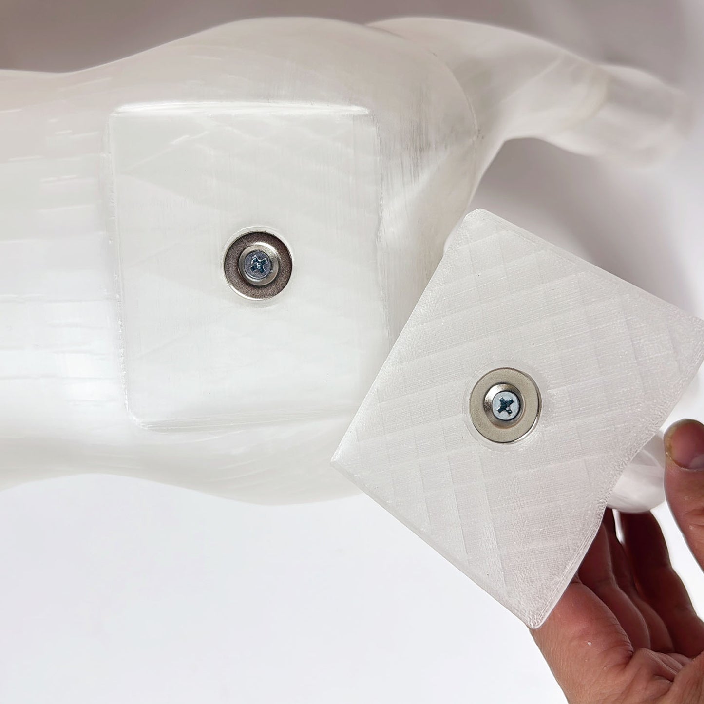 Professional 3D Printed Dog Mannequin - Detachable Pet Clothing Display Model with Ultra-Strong Magnetic Joints - Realistic & Elegant Pet Store Prop