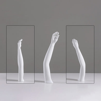 DE-LIANG Fiberglass Arm Knee Waist Mannequin Props for Athletic Wear & Medical Brace Display