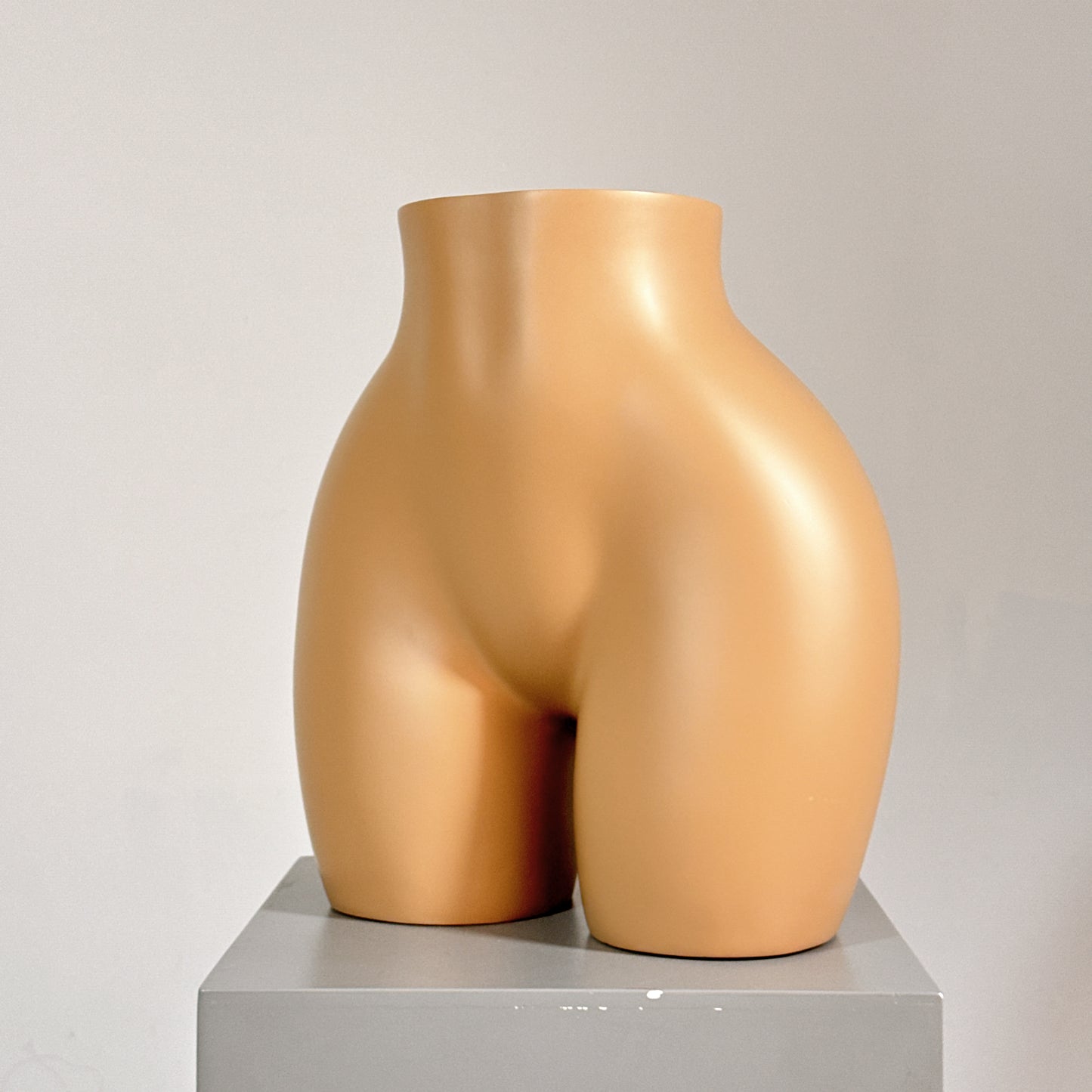 DE LIANG High-End Female Hip & Torso Mannequin – Fiberglass Display Stand for Lingerie/Underwear/Shapewear Display