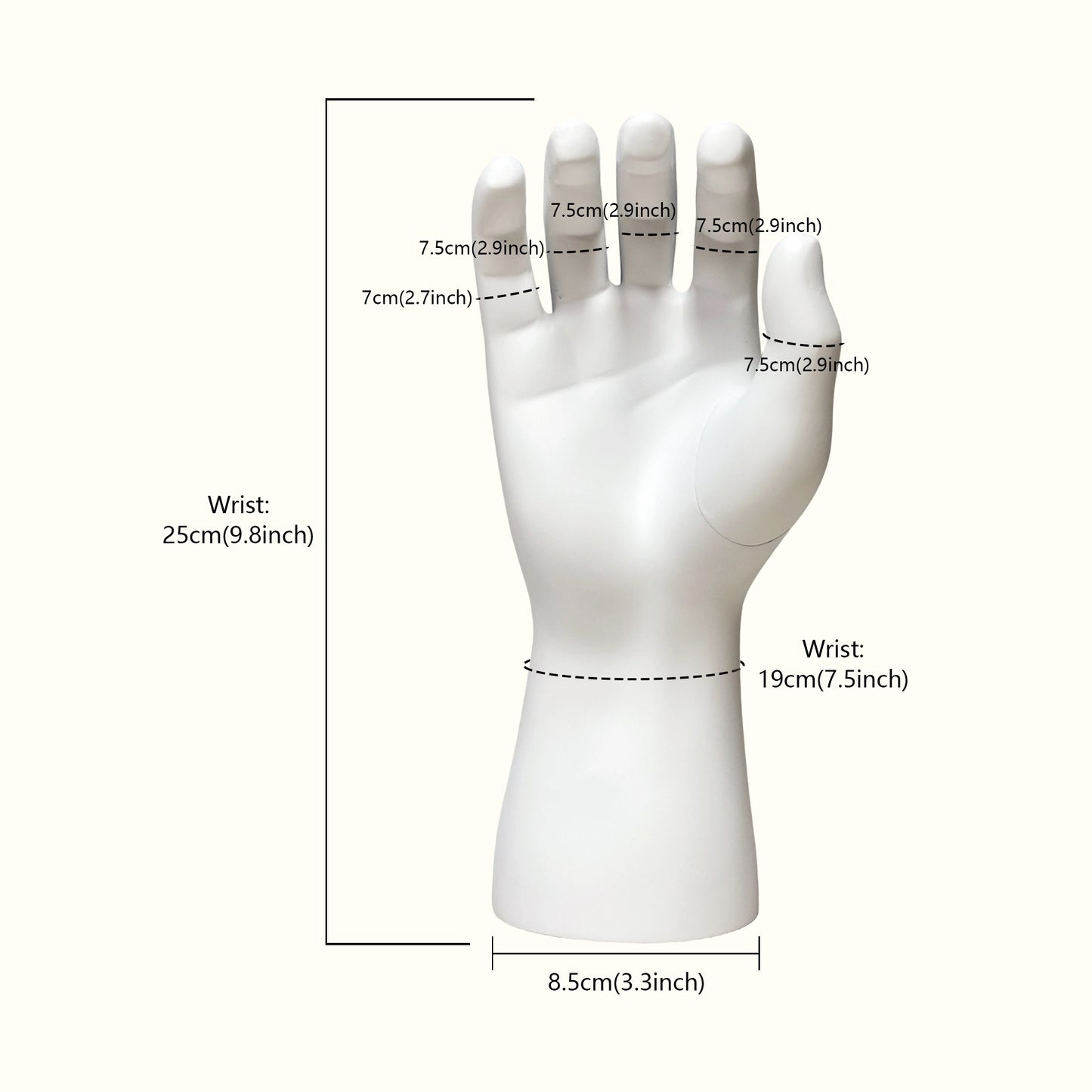 DE-LIANG Fiberglass Fashion Male Sport Mannequin Torso,Elbow,Arms,Waist And Hip Protector Props,Silver Mannequin Props for Athletic Brace Display