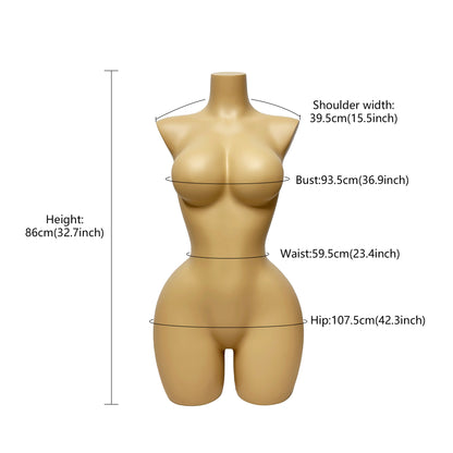 DE-LIANG Big Bust Slim Waist Curvy Half Body Mannequin for Lingerie Swimwear Display